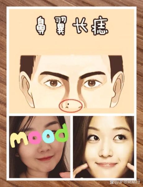 鼻翼大小怎么看财运_鼻翼厚代表什么