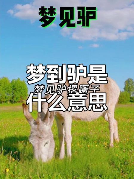 梦到驴是什么意思_梦见驴追我怎么办