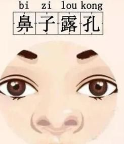 鼻子曲折财运_鼻子形状真的影响财富吗