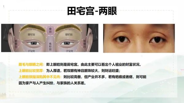 浓眉细长小眼财运_面相与财富关系