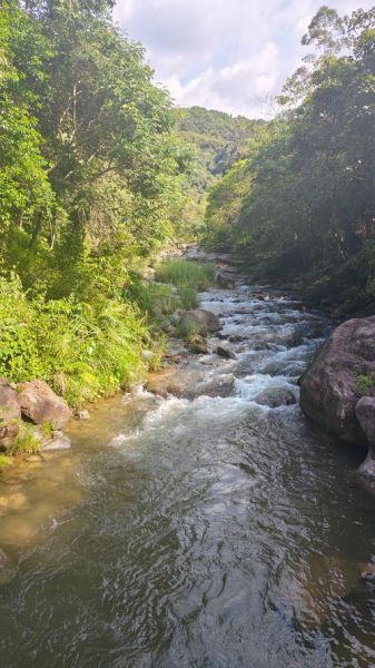 梦到小溪是什么意思_梦见小溪流水预示什么