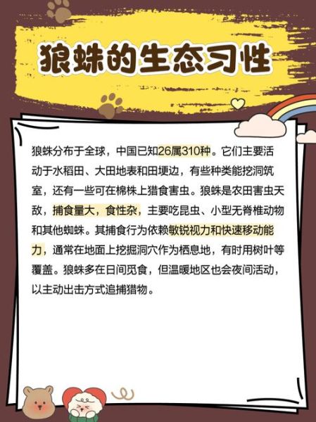 梦到吃蜘蛛是什么意思_梦到吃蜘蛛的吉凶预兆
