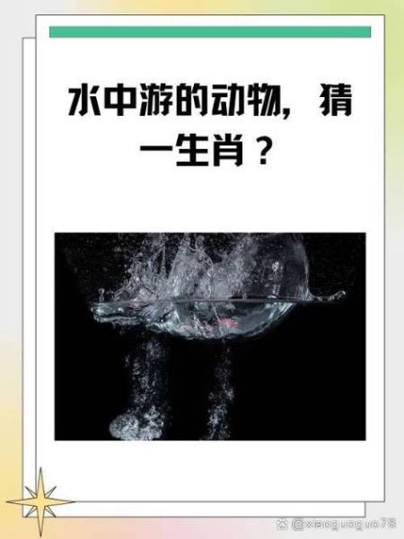 游泳天赋属相_哪些生肖水性好