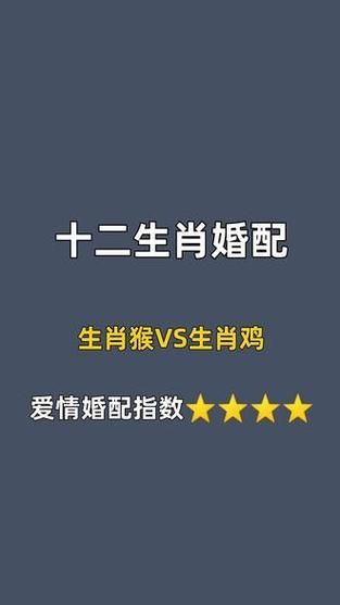 猴和鸡属相配吗_属猴属鸡婚姻合不合