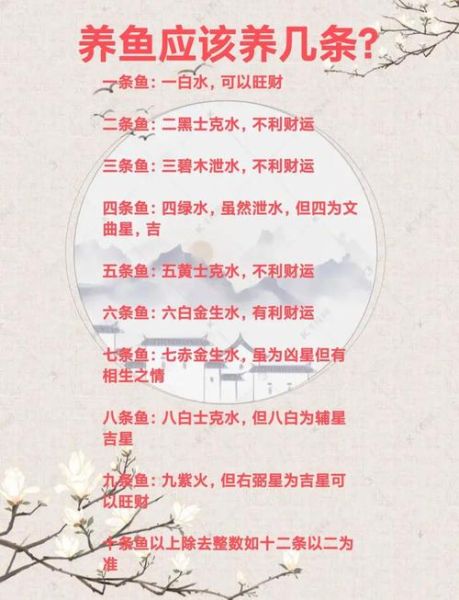 锦鲤养几条最吉利_属相风水讲究