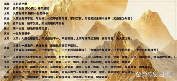 紫薇斗数怎么看偏财运_偏财星在哪个宫位最旺