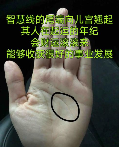 财运线上出现米字纹代表什么_如何化解米字纹带来的破财危机