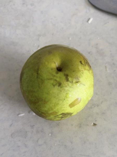 梦到坏梨是什么意思_梦见腐烂梨子预示什么