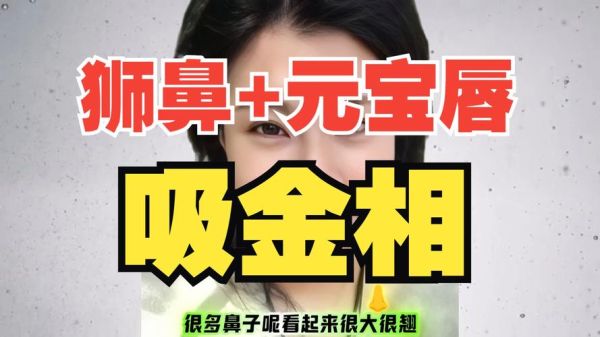 狮子鼻财运好吗_狮子鼻面相财富解析