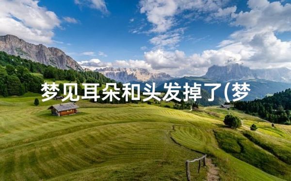 梦见耳朵掉了_预示什么