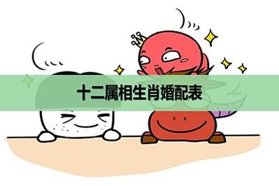 龙马属相婚姻配对_龙马属相婚姻好吗