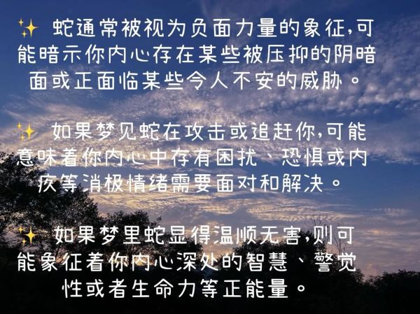 梦到黑花蛇是什么意思_黑花蛇梦境解析