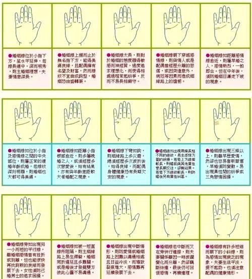 梦见手相预示什么_手相变化代表什么