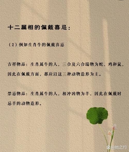 鼠属相和哪些属相不合_如何化解相冲