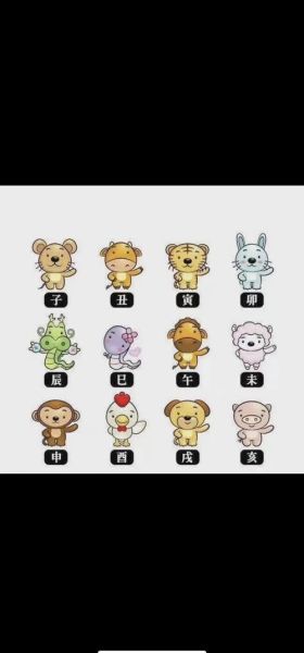 猪人鸡年每月运势_属猪鸡年运程详解