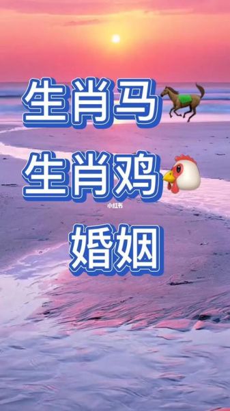 男马女鸡婚配好吗_男马女鸡婚姻如何