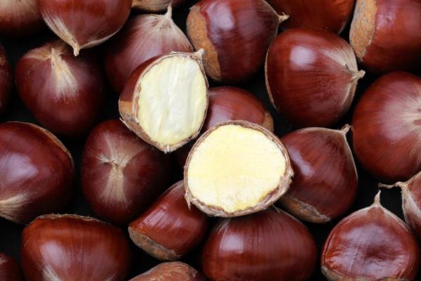 梦到栗子是什么意思_梦见栗子是吉兆吗