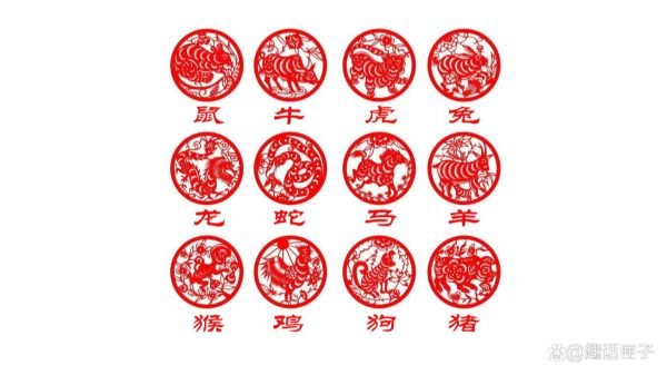 属狗三合属相是什么_属狗的三合贵人有哪些