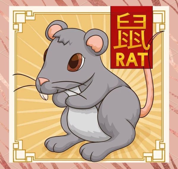 鼠相2017年运势详解_属鼠人2017年财运如何