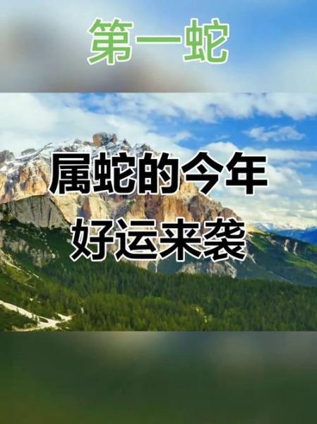 蛇下半年运势2017_属蛇人2017下半年运势如何