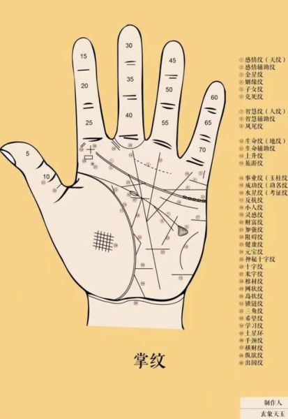 男人手相财运线怎么看_男人财运线在哪