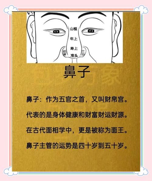 鼻子受伤会影响财运吗_鼻子破相后如何改运