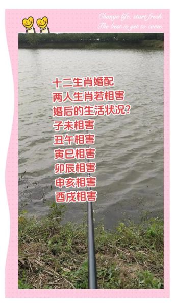 属相婚配禁忌有哪些_属相不合真的不能结婚吗