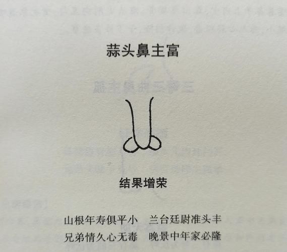蒜头鼻财运好吗_蒜头鼻面相解析