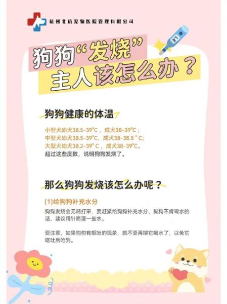 财运发烧是什么意思_财运发烧怎么办