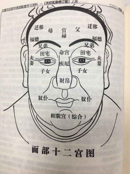 面部十二宫图解运势_面相十二宫怎么看