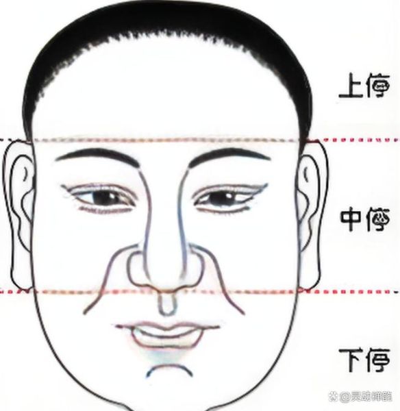 额头高财运好是真的吗_额头高财运好的面相依据