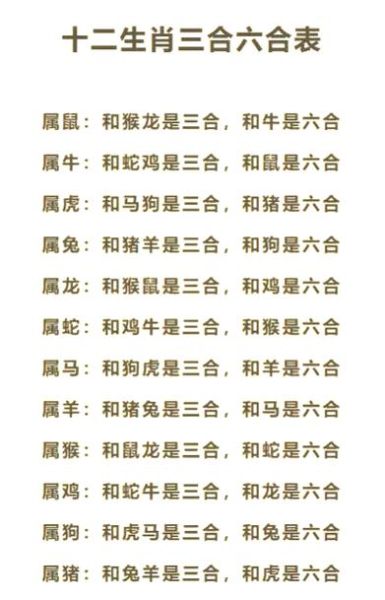 鼠属相跟狗属相相冲吗_属鼠和属狗合不合