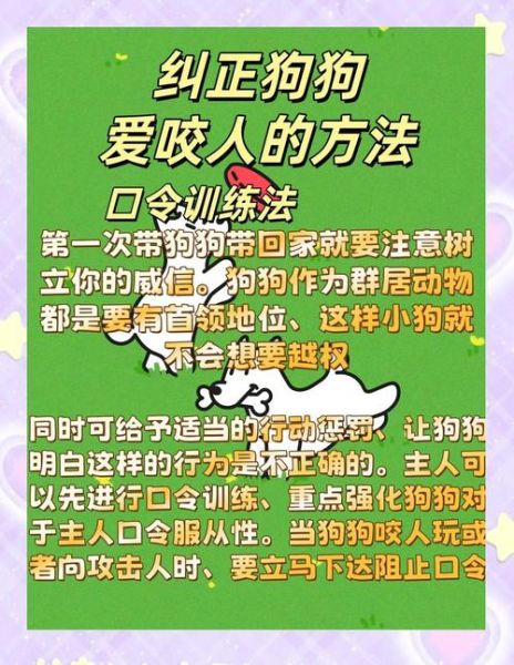 梦到狗咬丈夫是什么意思_如何化解