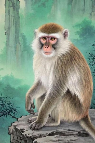 猴年男人2016财运如何_属猴男2016年财运旺不旺