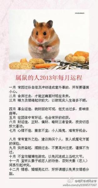 属鼠的人今日运势怎么样_属鼠今日财运如何