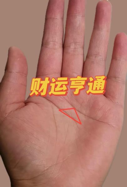 财运线出现_财运线怎么看图解