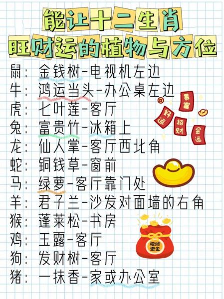 财运物有哪些_如何挑选旺自己的财运物