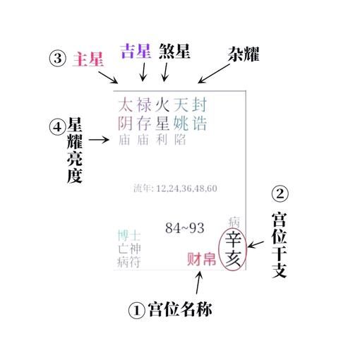 紫薇斗数看财运_如何通过命盘提升财富