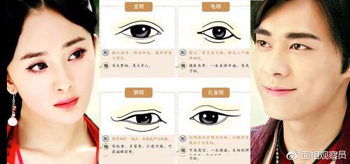 眼睛藏财运是真的吗_眼睛藏财运怎么看