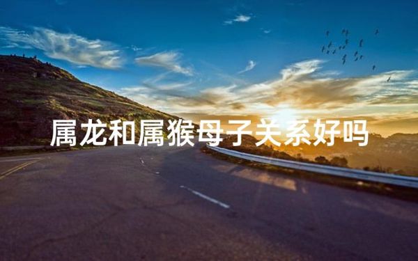 男猴女龙属相相配吗_属猴男与属龙女婚姻如何