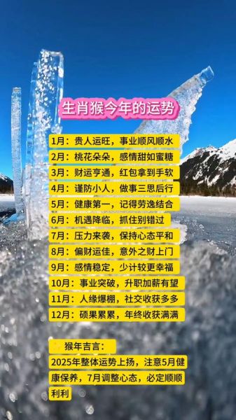 鼠在猴年运势如何_鼠遇猴年财运旺吗