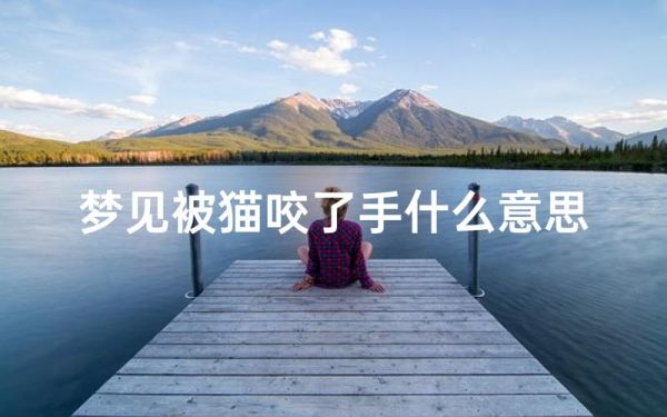 梦到猫想咬我_猫咬人梦境解析