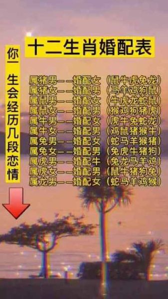 要孩子什么属相好_属龙还是属兔