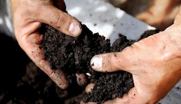 梦到黑土是什么意思_梦见黑土代表什么