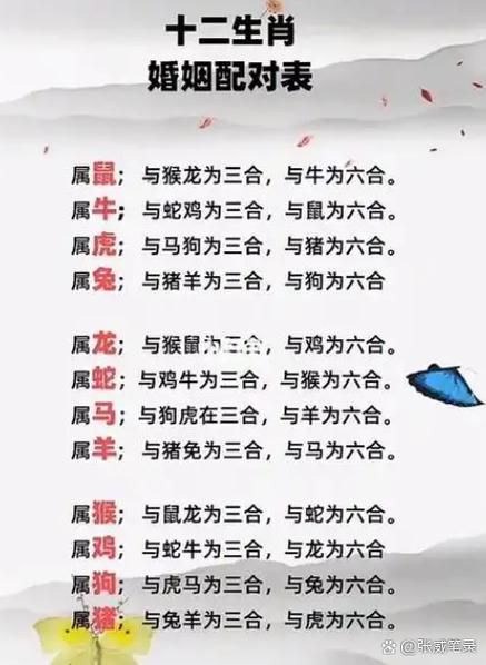 马三合的属相是什么_马三合生肖配对详解