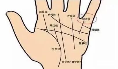 财运线弯了怎么办_财运线弯曲代表什么