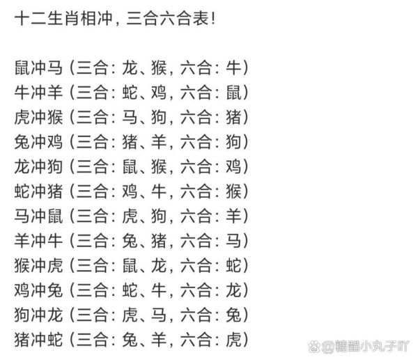 蛇属相不合怎么办_蛇与哪些属相相冲