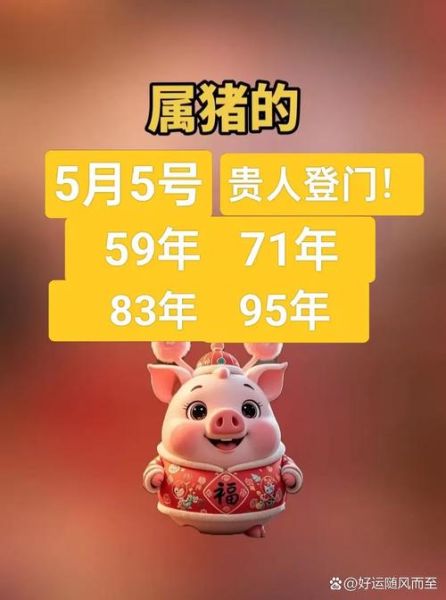 猪人2018年财运如何_属猪2018年财运方位