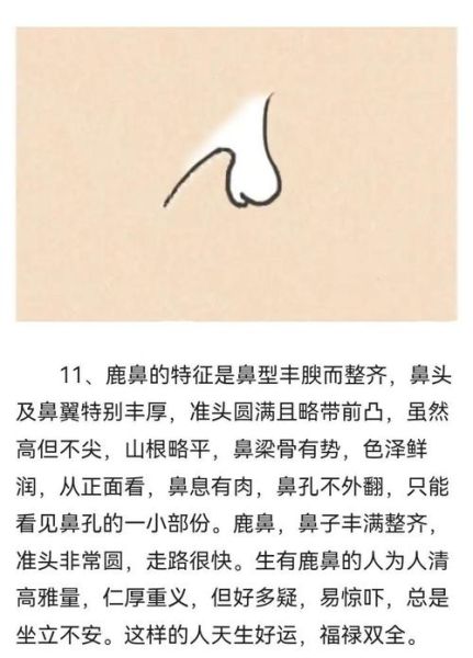 男人鼻子看财运_鼻子形状与财富关系