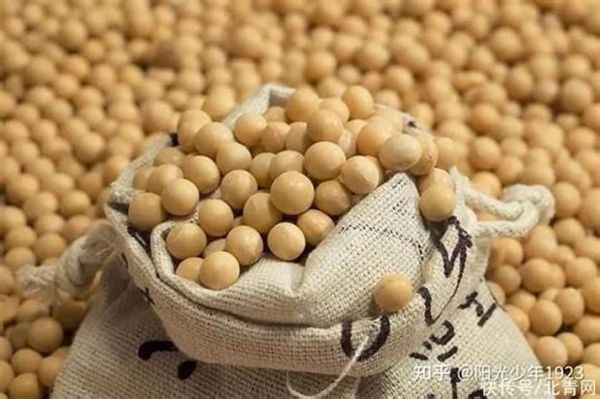 梦到大豆是什么意思_梦见大豆预示什么